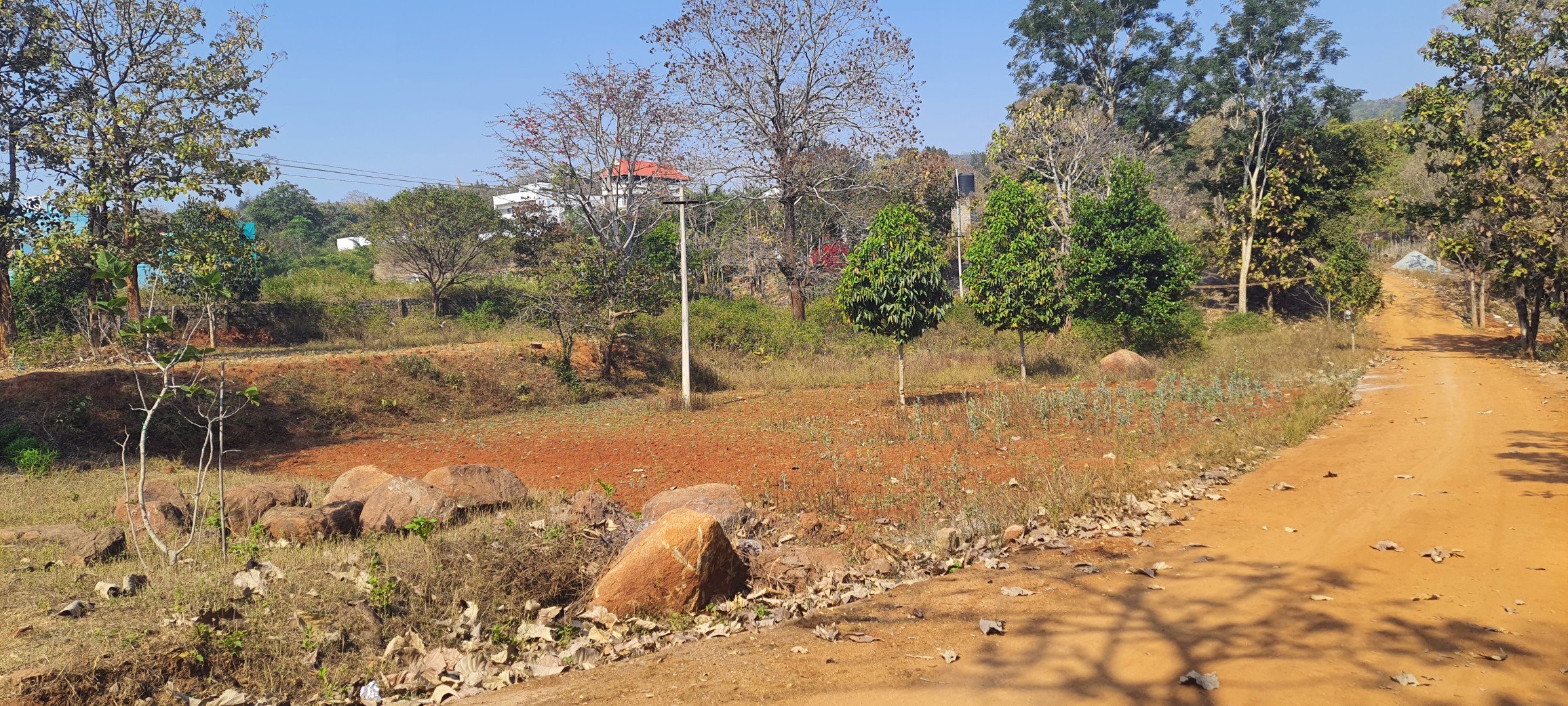 North-Facing Land Adjacent to AR Thanga Kottai – Kottur, Yelagiri
