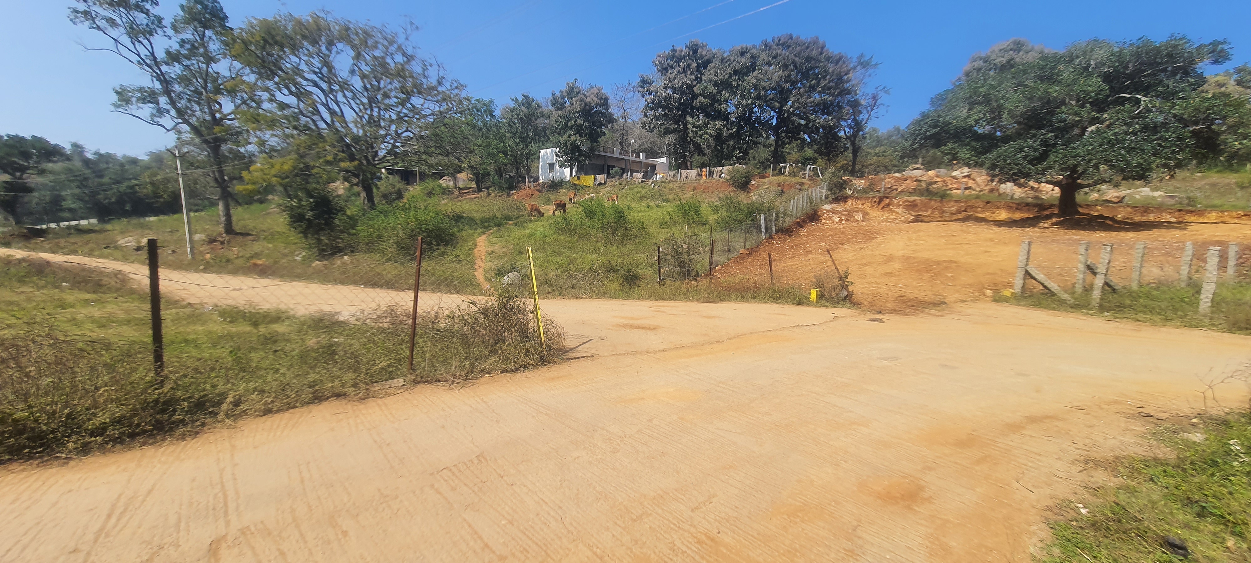 Onroad approved property for sale. Nr. Nature Park Yelagiri Hills Yelagiri Plot
