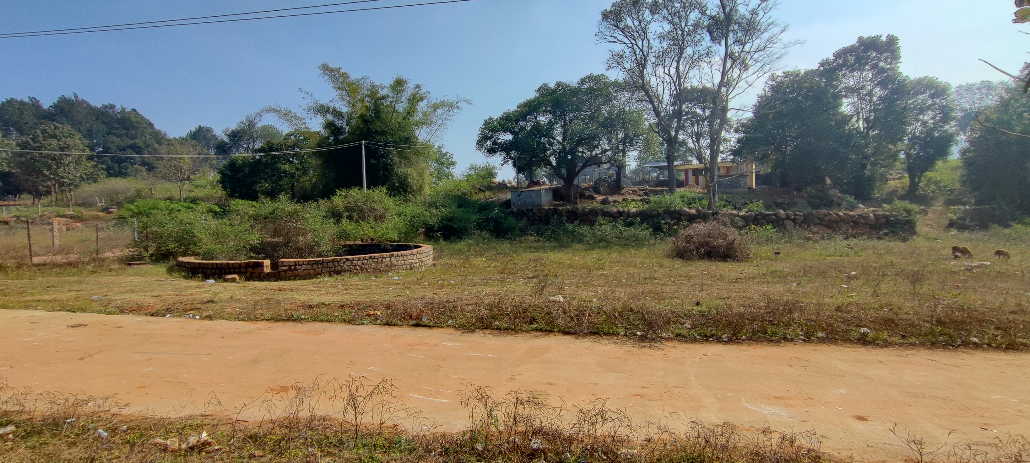 On road approved Property for Sale Nr. Nature Park, Yelagiri Hills. Yelagiri Plot